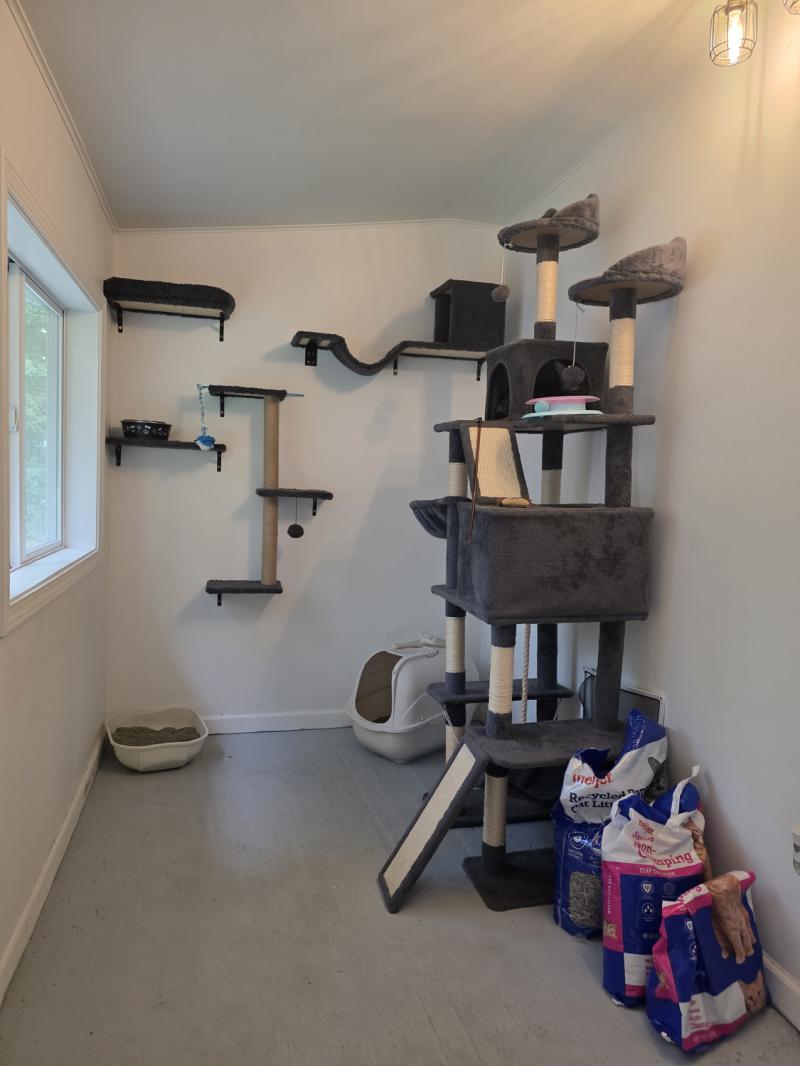 RentalsMLS Rental Additional Image
