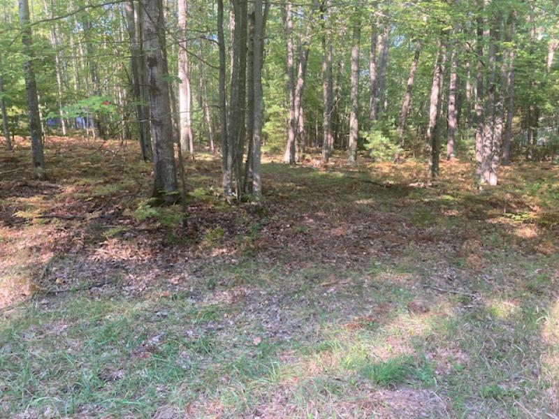 Rental 202189 Main Image