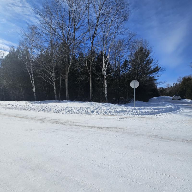 Rental 202938 Main Image