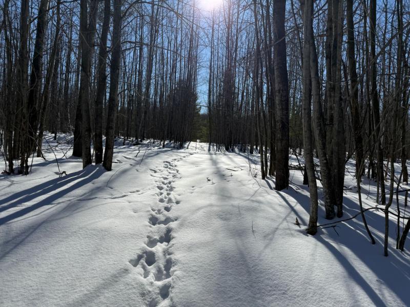 Rental 202939 Main Image