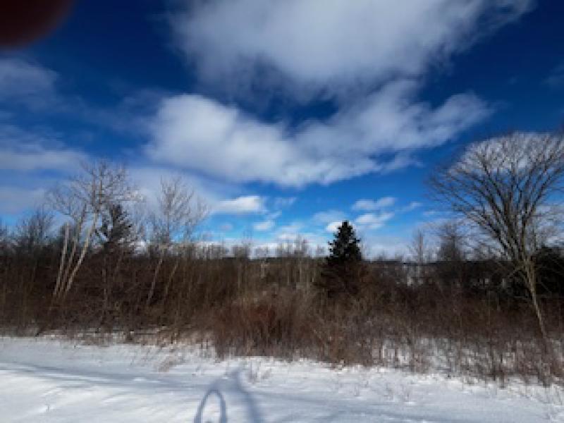 Rental 202958 Main Image