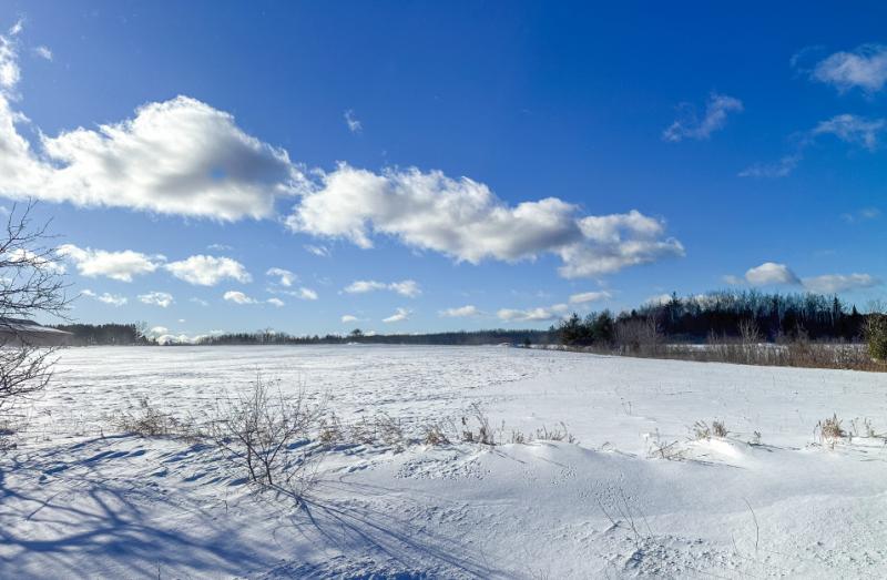 Rental 202982 Main Image