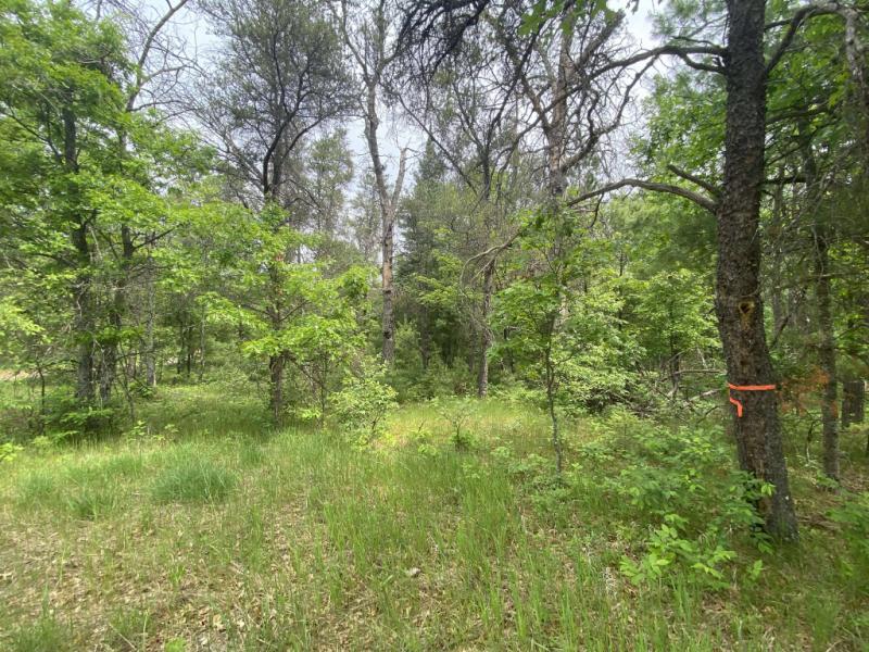 Rental 203012 Main Image