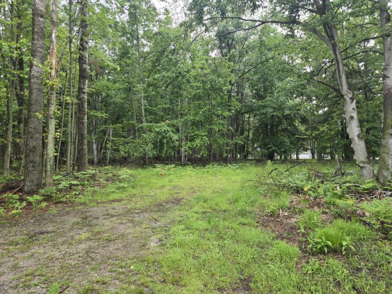 Rental 204055 Main Image