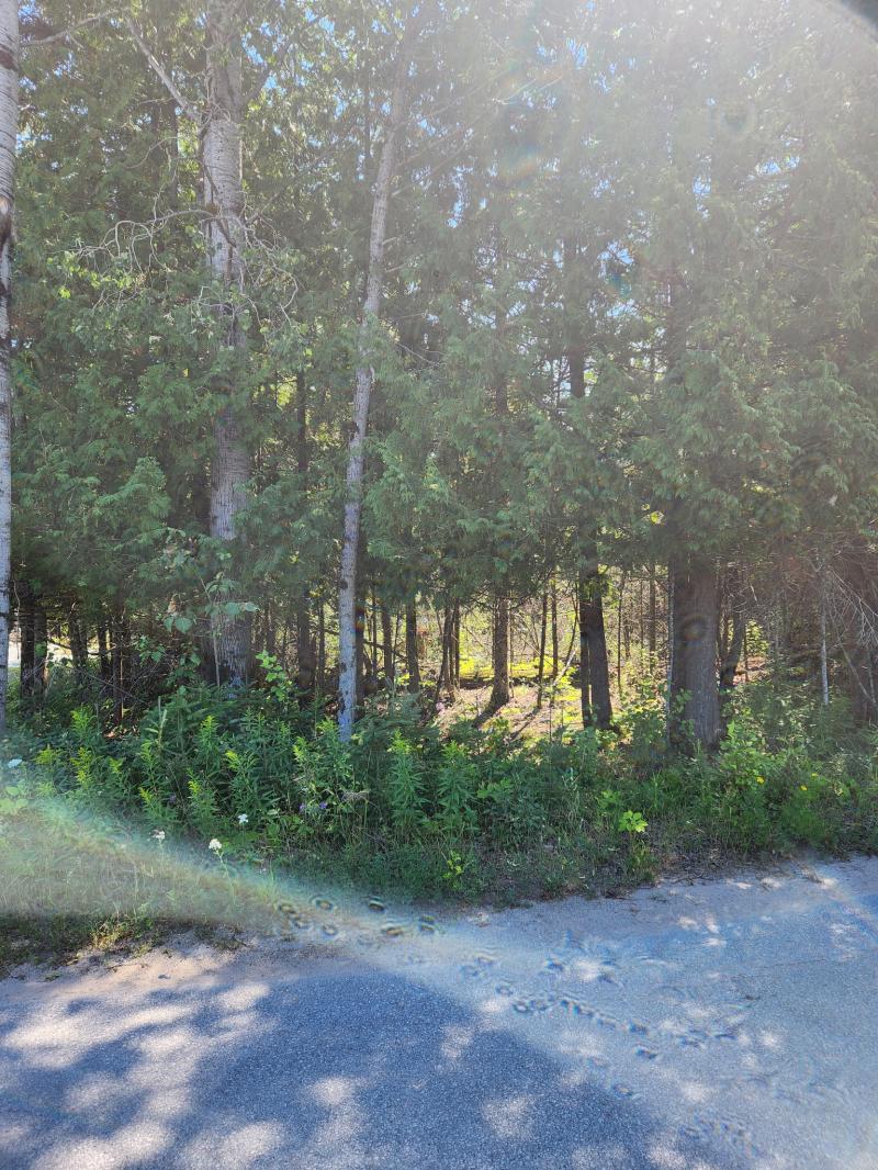 Rental 204467 Main Image