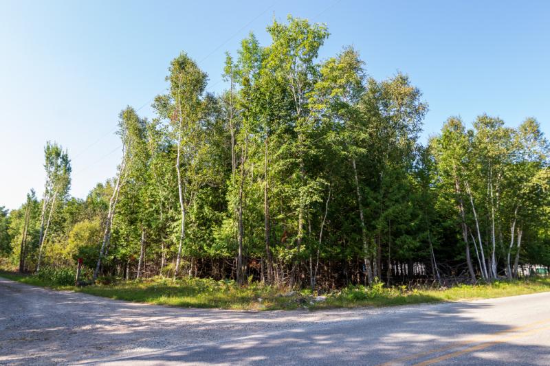 Rental 204545 Main Image