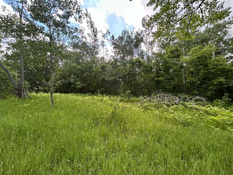 Rental 204617 Main Image