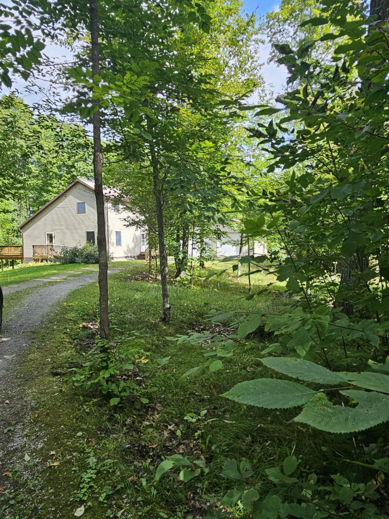 Rental 204716 Main Image