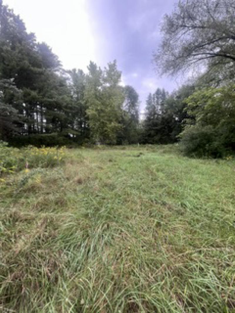 Rental 204788 Main Image